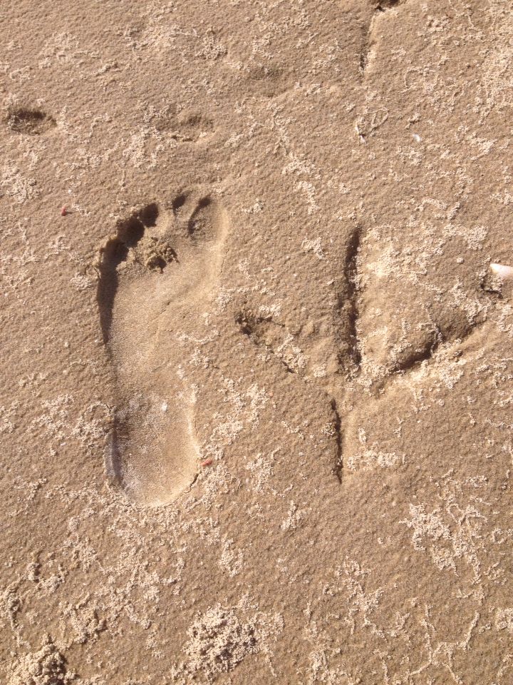 513a9c7274404aa978598b7ad19e5517