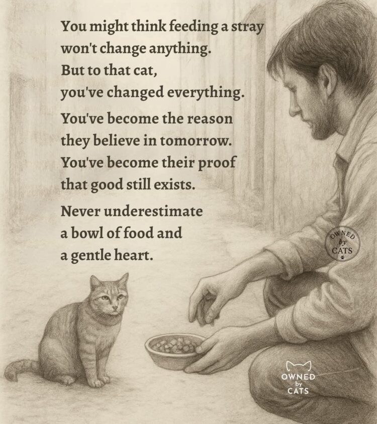 8184019d039d4cecbb6f2af249626f8b