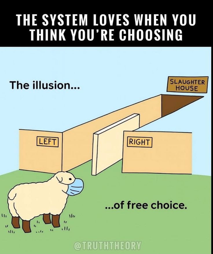 88e9e1a2c9051aa1e745dcb2d057b08d