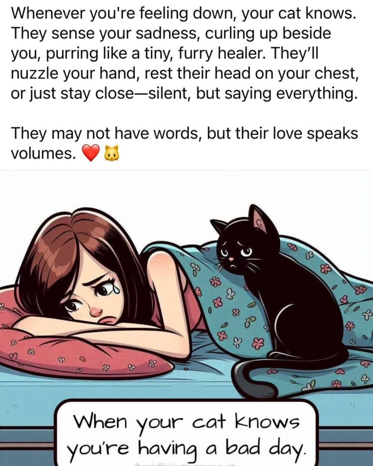 a9e2f29b18cf272469a985516ed1ef20