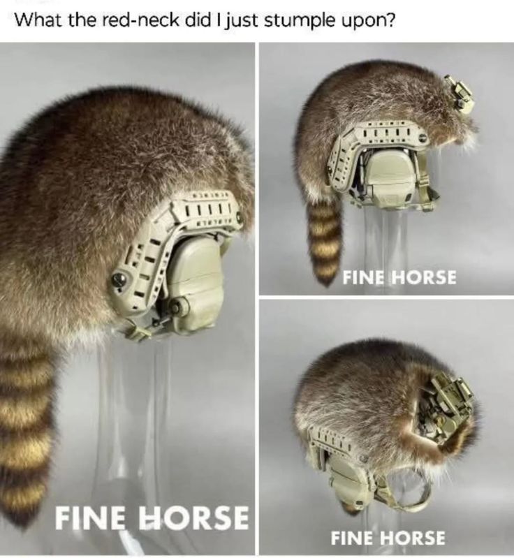 b73d373e553244a101afa16033a8a974