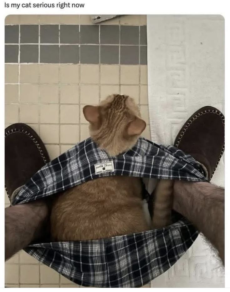 bbb073d22ecb57834a33d897549e7d71