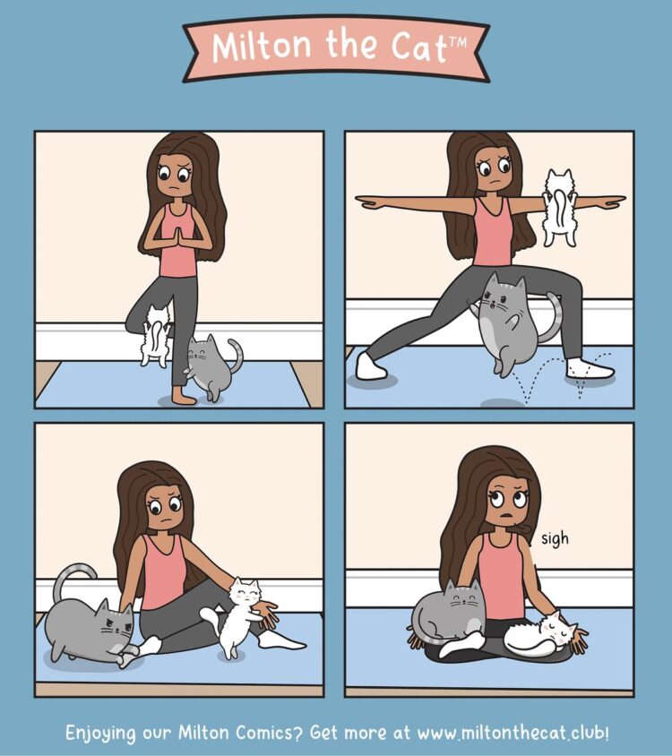 c6f7485d480757cab983a0da62587f2a