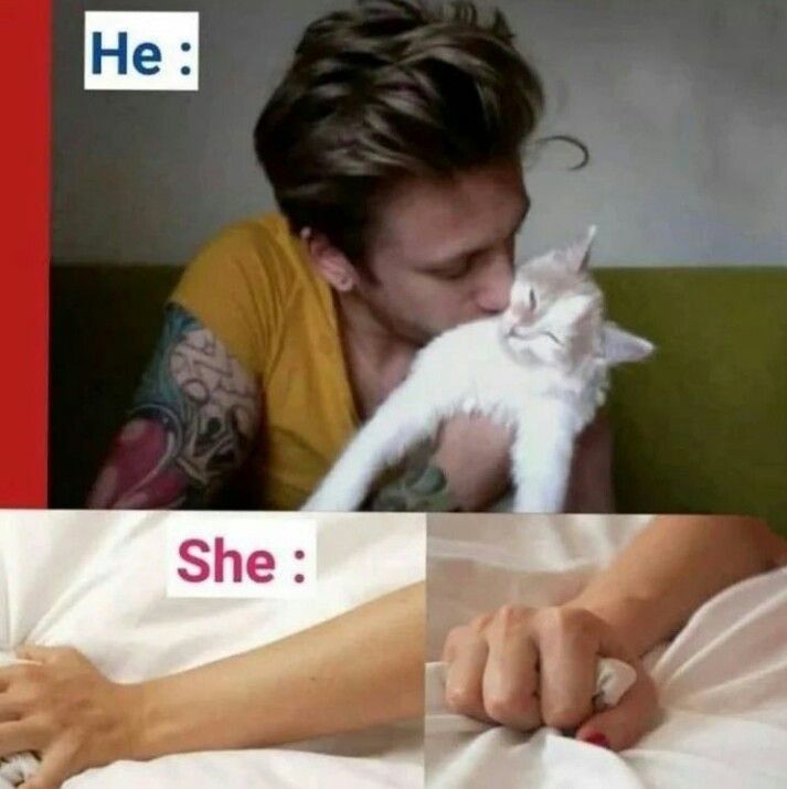 cd2b5b437c5191f209612f8a736f2a33