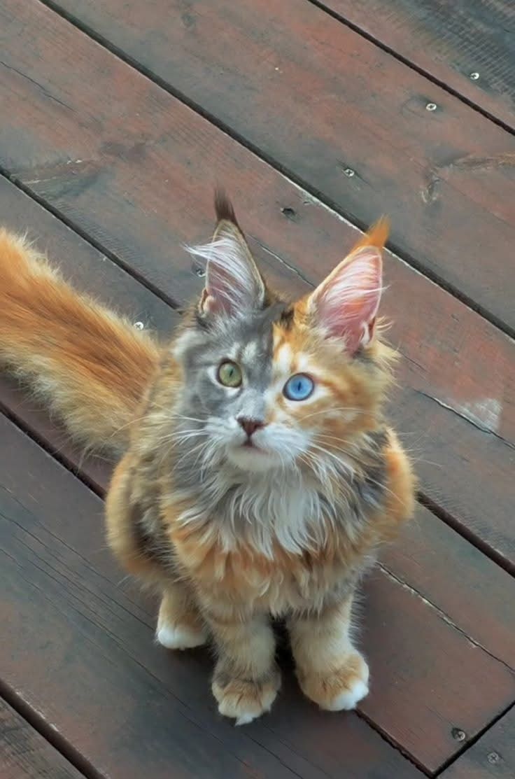 d62aed0549dd09e574ccbe03391f3196