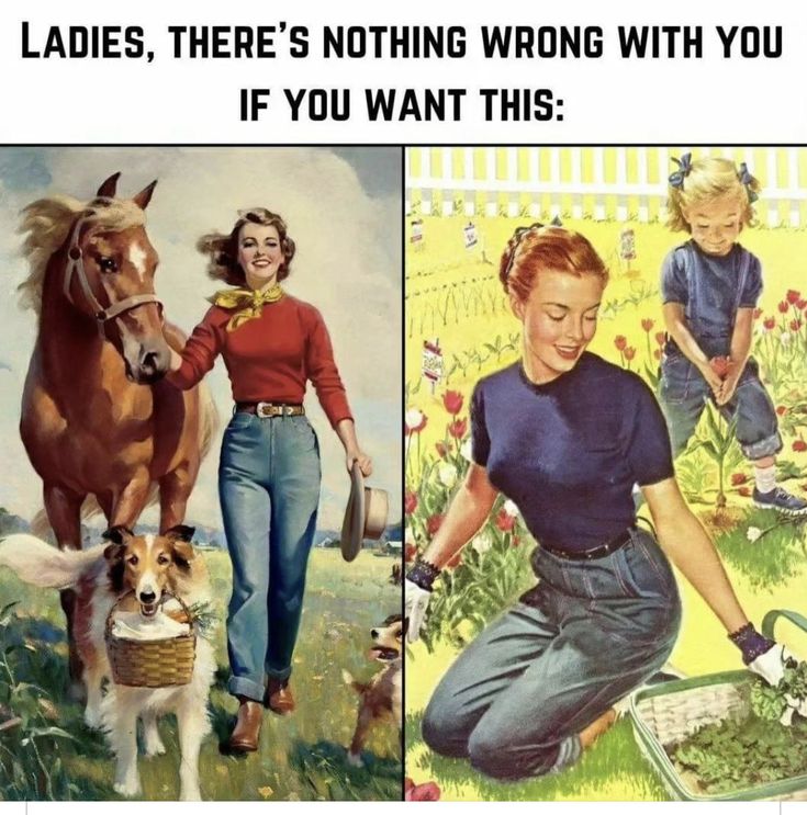 f8fc6839c3e94c04993d7dae9ea65156