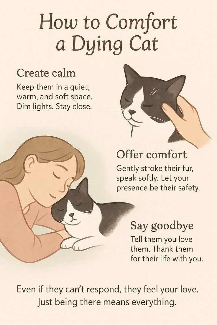 fec653ff9177c0711a4248b790c9d7c6