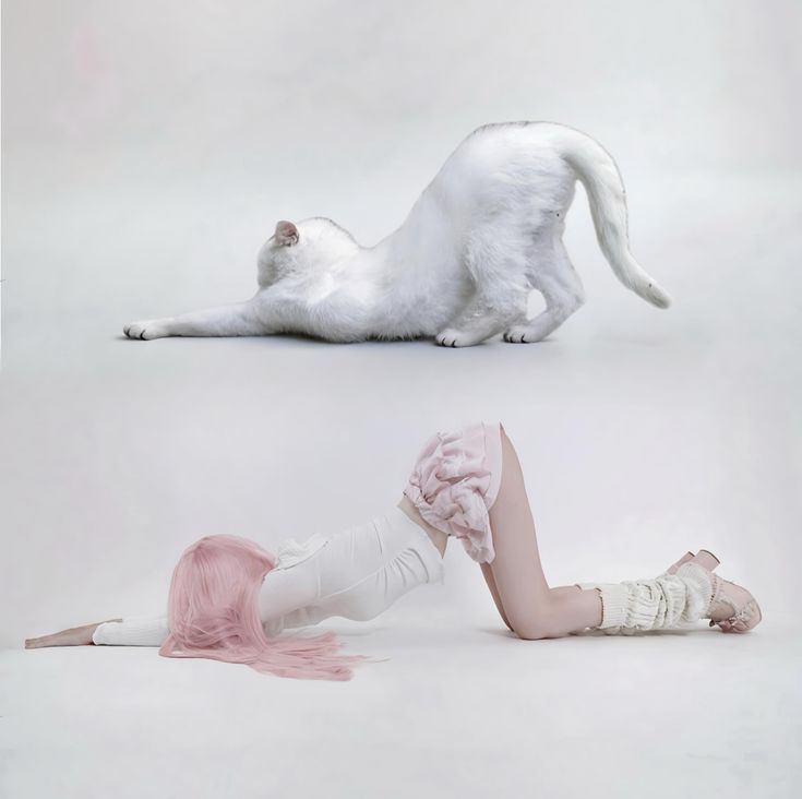 e37daa710461ce3db24dd019ac6abf0a