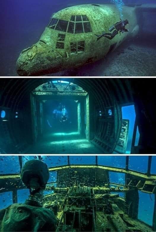 ea57efeedd051776eea59f3752041f87