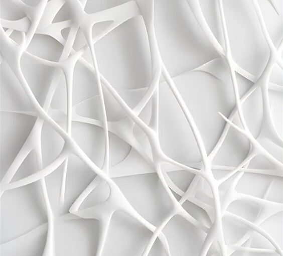 The HP Ecosystem: A Technical Post-Mortem and the Quest for Freedom
